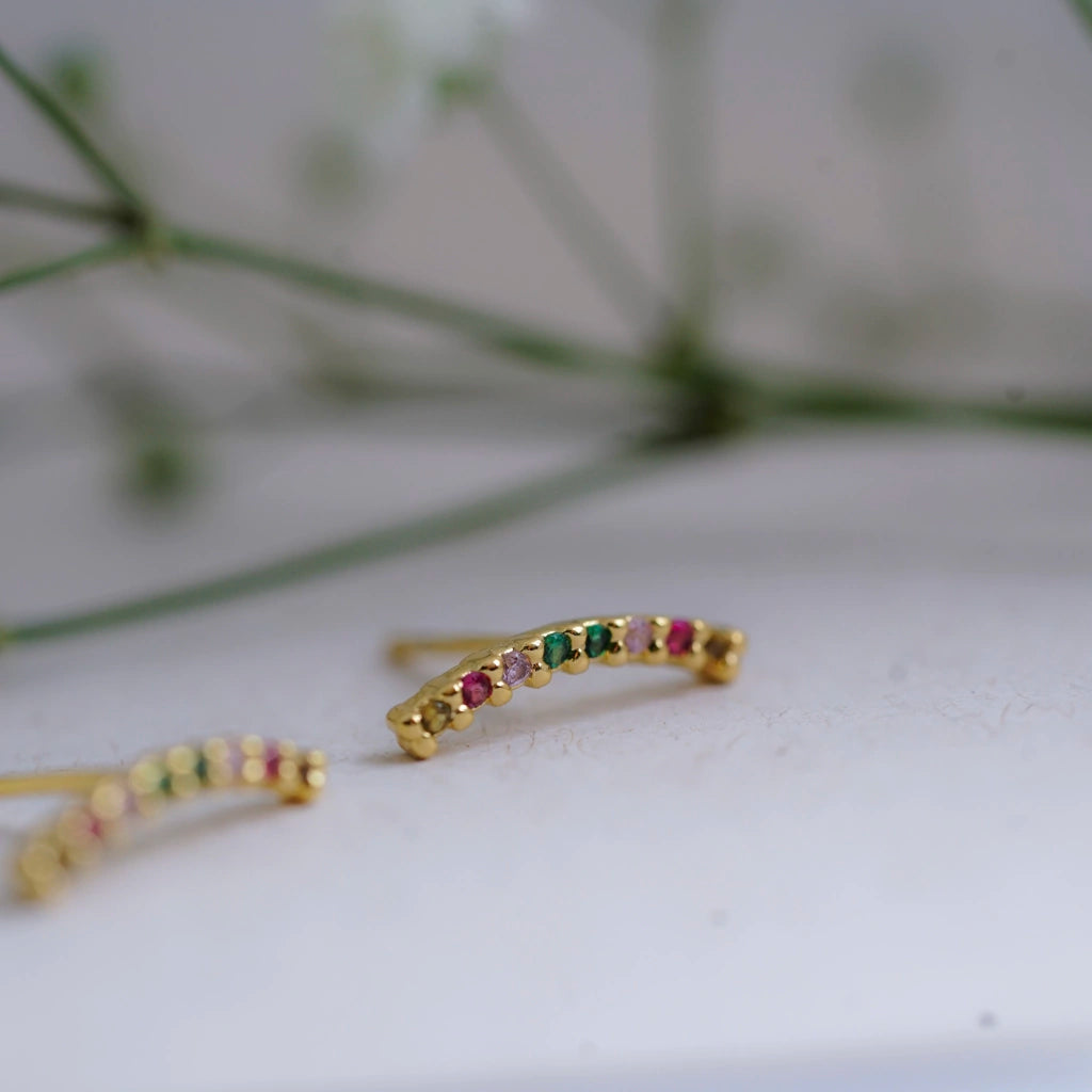 Colorful Curved Stud Earrings